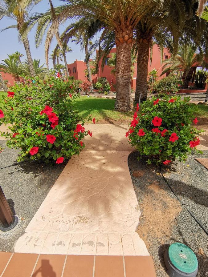 Appartamento Spagnolo Oasis Tamarindo Коралео Екстериор снимка