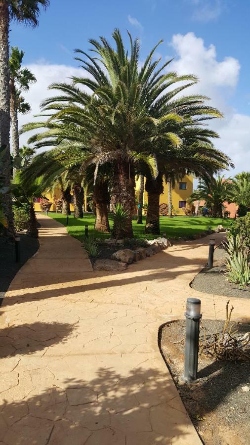 Appartamento Spagnolo Oasis Tamarindo Коралео Екстериор снимка