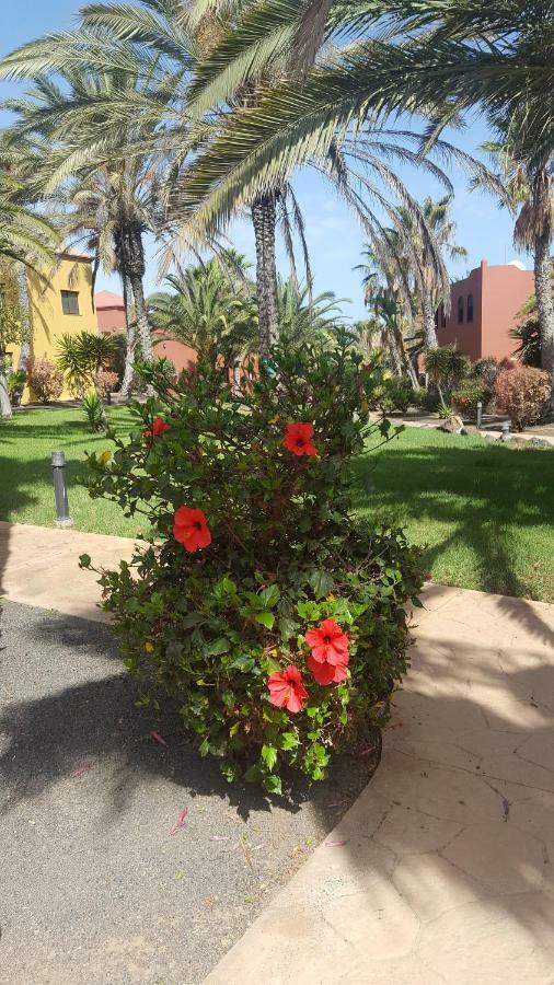Appartamento Spagnolo Oasis Tamarindo Коралео Екстериор снимка